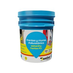 WEBERDRY FRENTES PU X 10 kgs